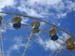 CrazyTones: Ausflug in den SKYLINE PARK