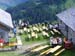 Mellentaler: Alpe Untermrzel, Alpmesse
