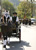 Hochzeit Sabrina und Wolfi
