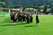 Marschmusikwettbewerb Schoppernau