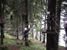 CrazyTones: Ausflug zum Alpsee