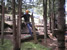 CrazyTones: Ausflug zum Alpsee