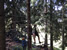 CrazyTones: Ausflug zum Alpsee