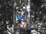 CrazyTones: Ausflug zum Alpsee