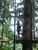 CrazyTones: Ausflug zum Alpsee